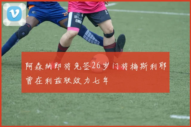 阿森纳即将免签26岁门将梅斯利耶曾在利兹联效力七年